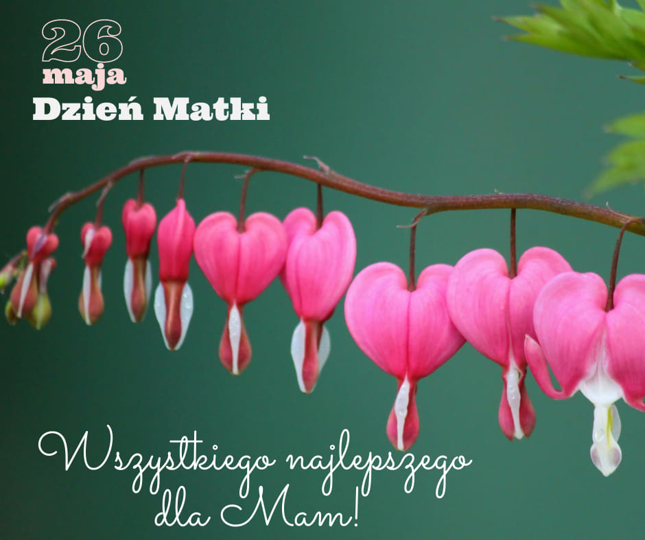 Dzień Matki